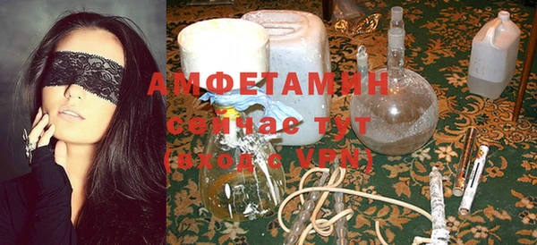 шишки Абаза