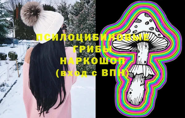 шишки Абаза