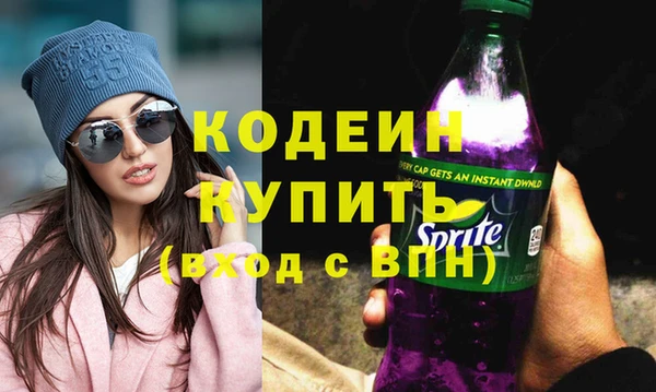 шишки Абаза