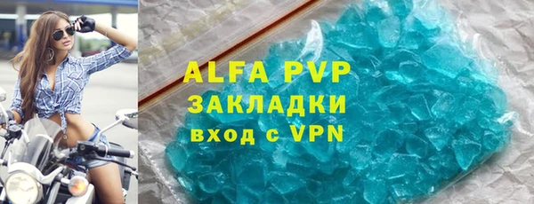 шишки Абаза
