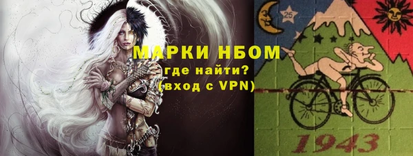 шишки Абаза