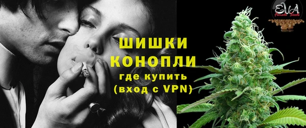 шишки Абаза