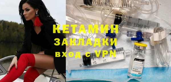 шишки Абаза