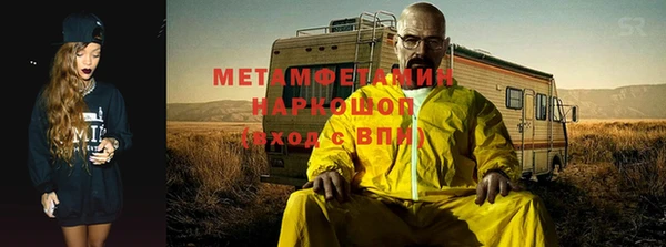 шишки Абаза